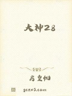 大神28