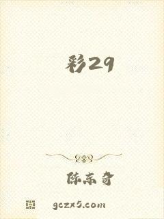 彩29